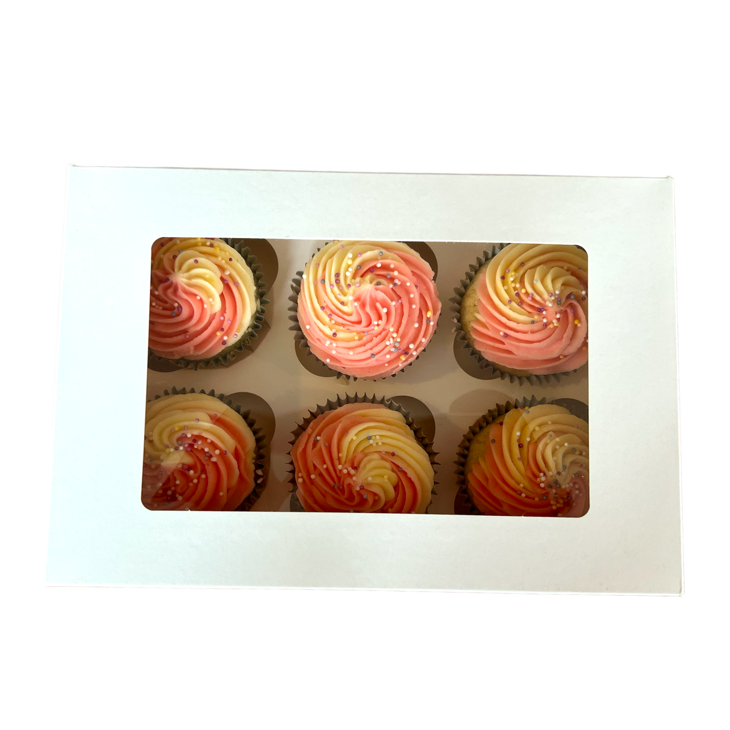 Premium 6 Cupcake Box x 25